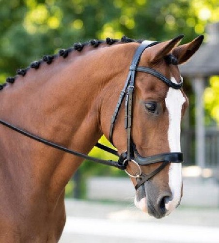 Select briglia dressage - select,