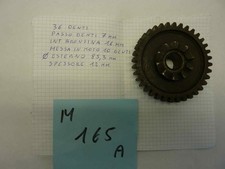 GILERA 250 NETTUNO ingranaggio