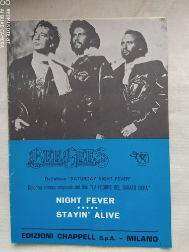 Bee gees night - bee,