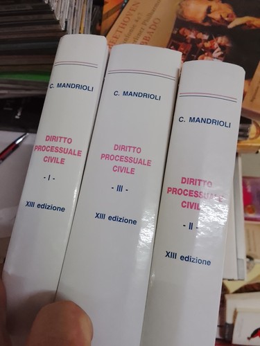 Diritto processuale civile - diritto,