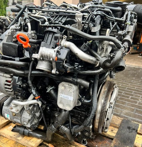 Volkswagen tdi cayc - volkswagen,