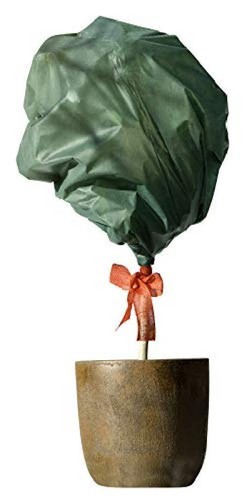 Windhager decorazione - windhager,
