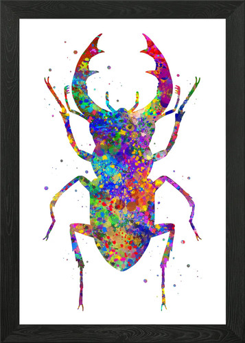 Quadro stampa tela - stampa, su
