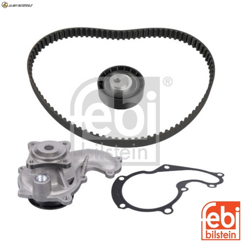 Pompa acqua kit - +, cinghia