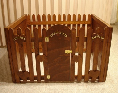 Recinto per cane box - cane,