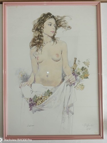 Quadri litografie di - quadri,