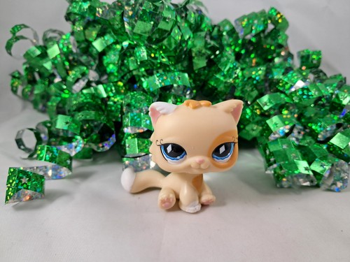 Littlest pet shop - shop, gatto