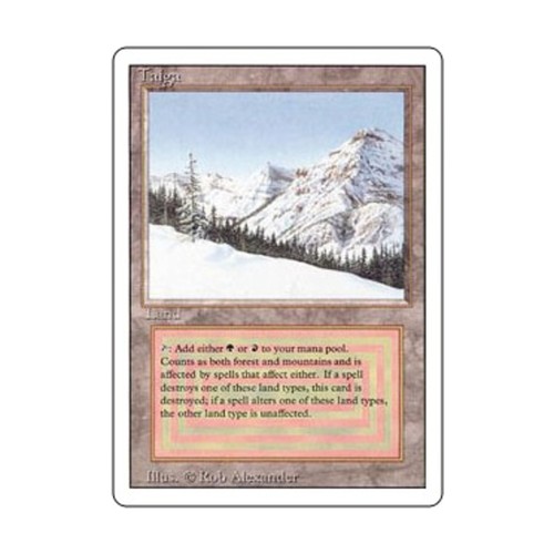 Wotc mtg edizione taiga - mtg,