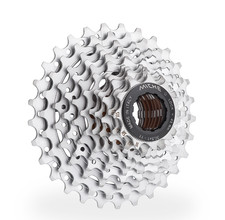 MICHE PACCO PIGNONI PRIMATO