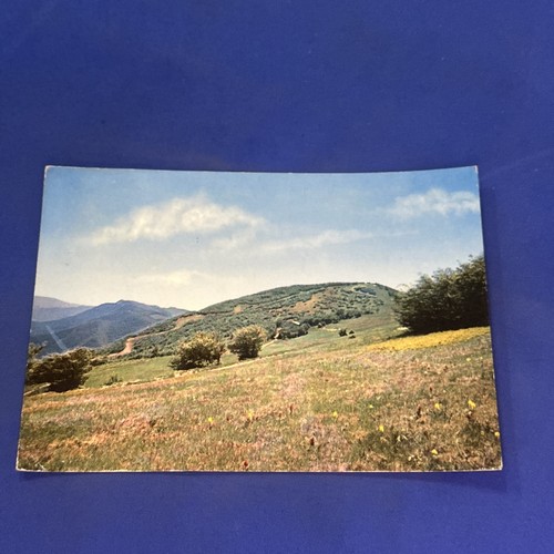 Appennino tosco romagnolo - appennino,