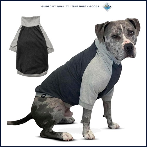 Camicia per cani grigia tinta