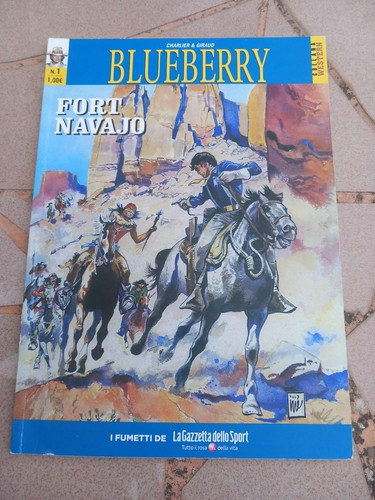 Blueberry fort navajo 1 - fort,