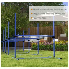 Dog Agility Set