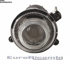 FENDINEBBIA PER SMART FORTWO