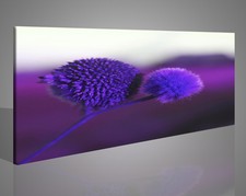 1591 Horizontal Print Purple