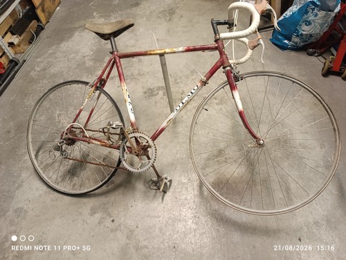 Bici corsa olmo - da,