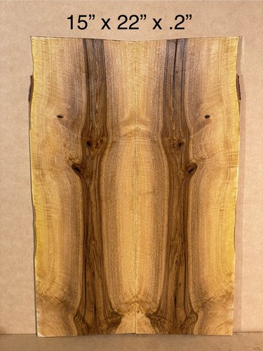 Florida legno di ulivo nero -
