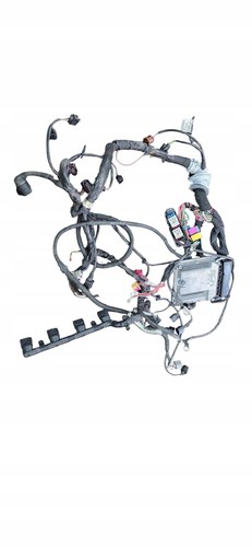Cablaggio motore completo seat - cablaggio,
