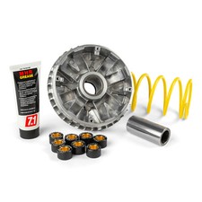 MF1694 - Variatore Malossi