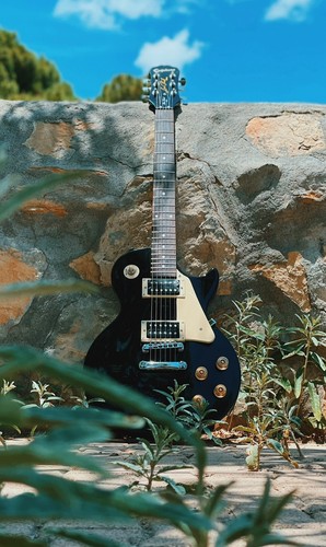 Epiphone les paul - paul, lp100