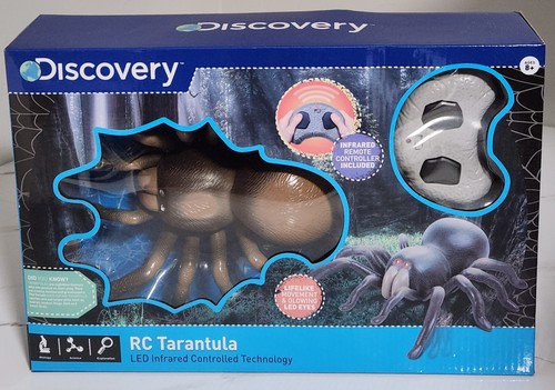 Discovery tarantola spider - tarantola,