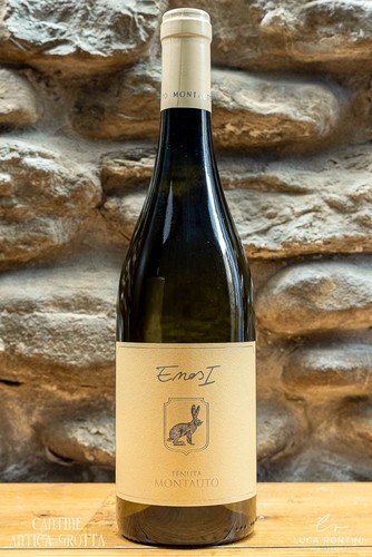 Enos 2023 sauvignon maremma - sauvignon,