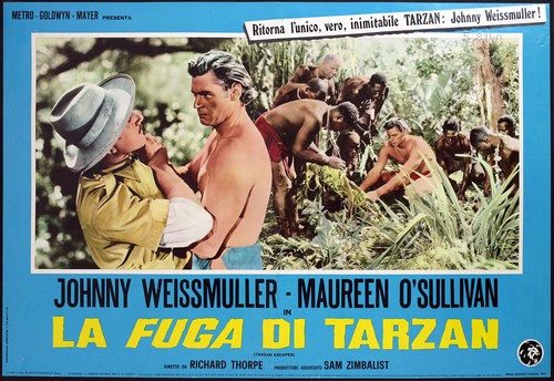 Cinema fotobusta fuga - cinema-fotobusta, la