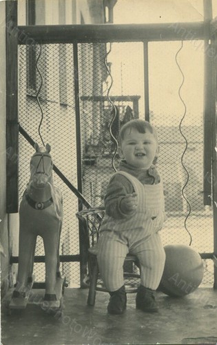 Sorridente bambino con - bambino, cavallo