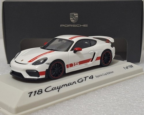 Porsche 718 cayman gt4 - 718,