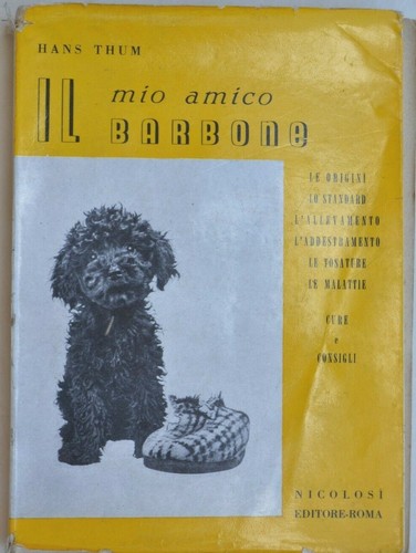 Thum mio amico - thum:, barbone