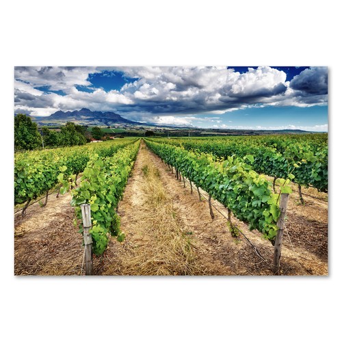 Postereck 1557 poster - , tela