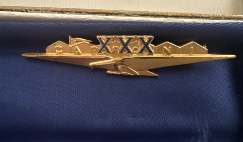 Spilla vintage anzianità - spilla,