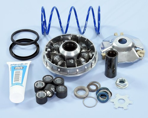 241 753 variatore polini - 241.753,