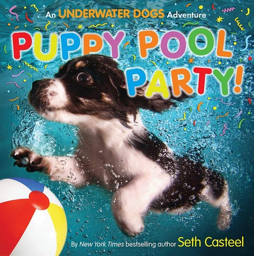 Puppy pool party an - puppy,
