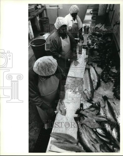 1994 stampa foto battistella - 1994,