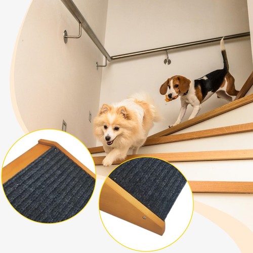 Rampa per scale - , cani