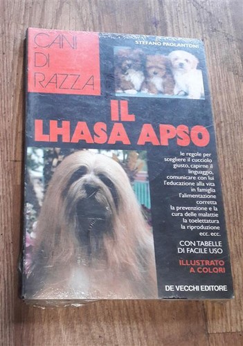Lhasa apso stefano - il,