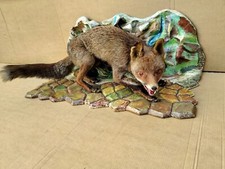 TROFEO CACCIA VOLPE TASSIDERMIA TAXIDERMY IMBALSAMATA NO CERVO MUFLONE DAINO