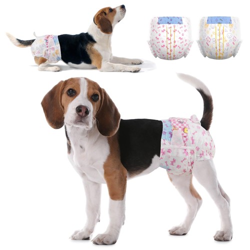 Dono pannolini per cani