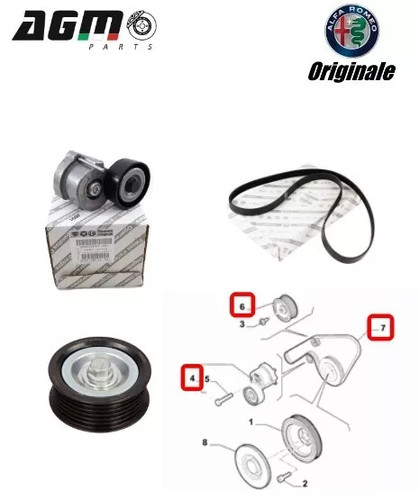 Kit cinghia esterna - cinghia,