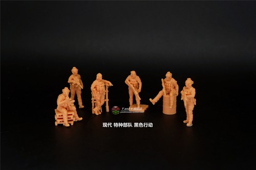 Miniatura modern special - miniatura,