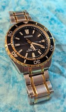 Citizen Men's Promaster