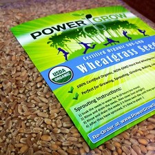 Wheat Grass / Cat Grass Seeds