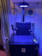 lampada acquario marino Dalua Illumagic Blaze Mini