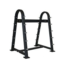 Diamond Rastrelliera Porta Bilancieri Rack per Palestra 10 Postazioni in Acciaio