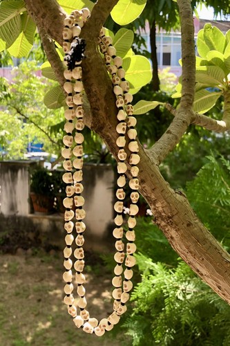 Dea kali nar mund mala - kali,