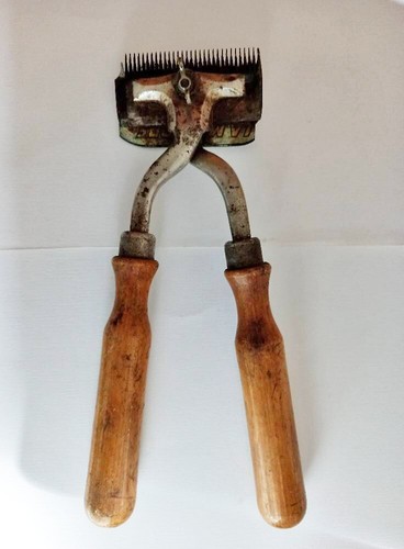 Antica forbice tosatrice - ,