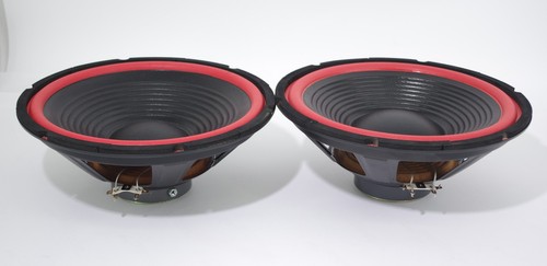 Altoparlanti poly coated - 2x,