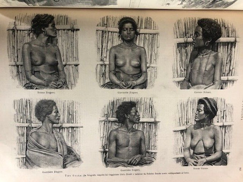 Illustrazione italiana 16 - illustrazione,