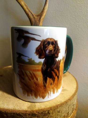 Tazza tiro fagiano caccia cane